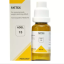 Adel-Pekana-Adel-13-Fattex-20ml.1.png Adel-Pekana-Adel-13-Fattex-20ml.1.png