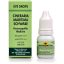 Cineraria-Maritima-Eye-Drops.jpg Cineraria-Maritima-Eye-Drops.jpg