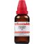 Dr-Willmar-Schwabe-India-Chimaphila-Umbellata-Mother-Tincture-1X-Q-30ml.jpg Dr-Willmar-Schwabe-India-Chimaphila-Umbellata-Mother-Tincture-1X-Q-30ml.jpg