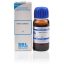 SBL-Areca-Catechu-Mother-Tincture-1X-Q-30ml.jpg SBL-Areca-Catechu-Mother-Tincture-1X-Q-30ml.jpg