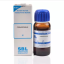 SBL-Cinnamomum-1X-Q-30ml.1.png SBL-Cinnamomum-1X-Q-30ml.1.png