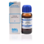 SBL-Conium-Maculatum-1X-Q-30ml.1.png SBL-Conium-Maculatum-1X-Q-30ml.1.png