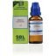 SBL-Homeopathic-Berberis-Aquifolium-Dilution-30ml-3.jpg SBL-Homeopathic-Berberis-Aquifolium-Dilution-30ml-3.jpg