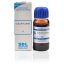SBL-Homeopathic-Curcuma-Longa-Turmeric-Mother-Tincture-1XQ-30ml.jpg SBL-Homeopathic-Curcuma-Longa-Turmeric-Mother-Tincture-1XQ-30ml.jpg
