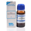 SBL-Rhus-Toxicodendron-1X-Q-30ml.1.png SBL-Rhus-Toxicodendron-1X-Q-30ml.1.png